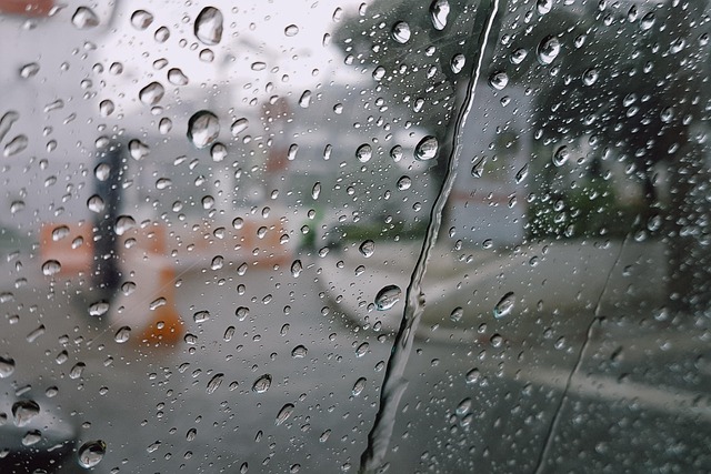 Free Raining Wet photo and picture