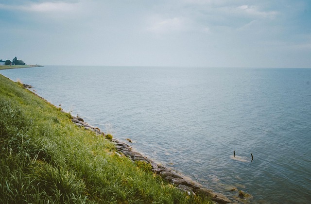 Ruhiges Meer, Silent Meer, Meer, Gras