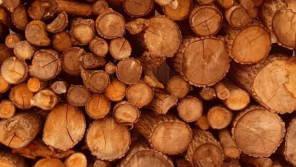 Free Logs Firewood photo and picture