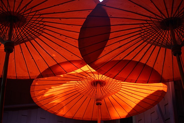 Schirm, Schutzschirm, Thailand, Reisen