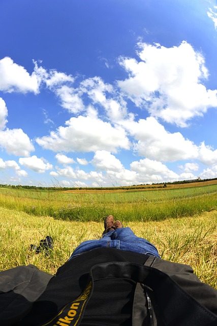 Free Nature Field photo and picture