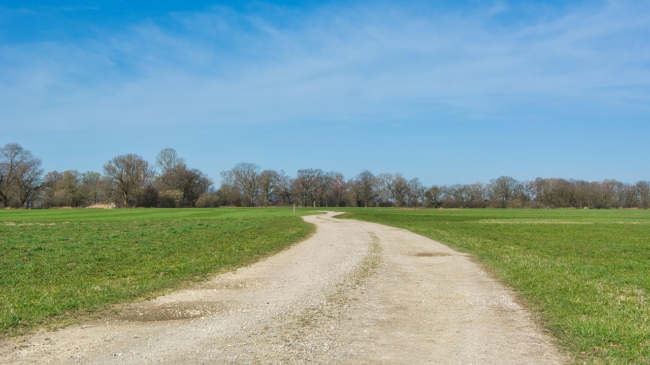 Dirt Road Path Nature - Free photo on Pixabay - Pixabay