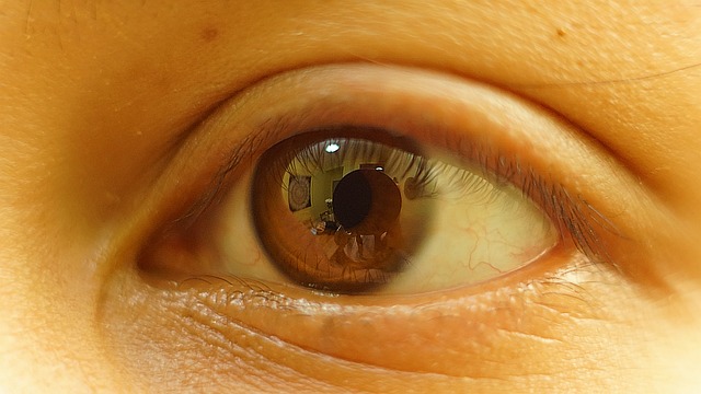 Free Eye Human photo and picture