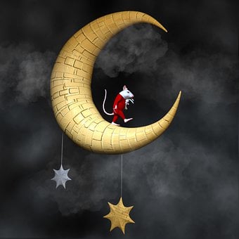 Rato, Lua, Estrelas, Noite