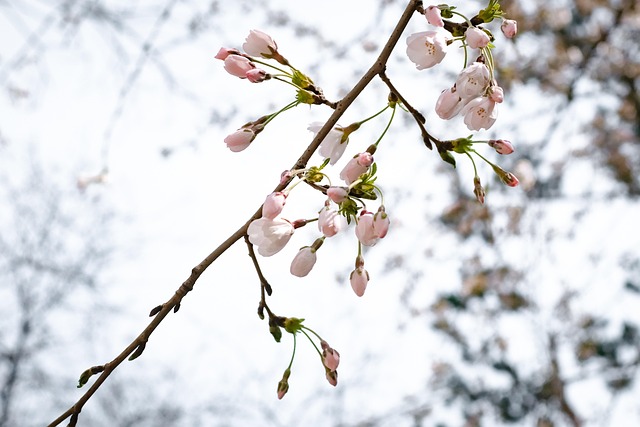 Free Spring Warm photo and picture