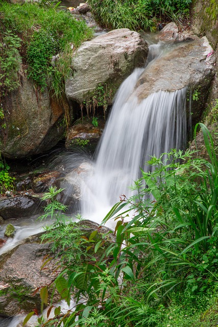 water falls, darjeeling, hill station, rocks water, landscape, nature, india, darjeeling, darjeeling, darjeeling, darjeeling, darjeeling
