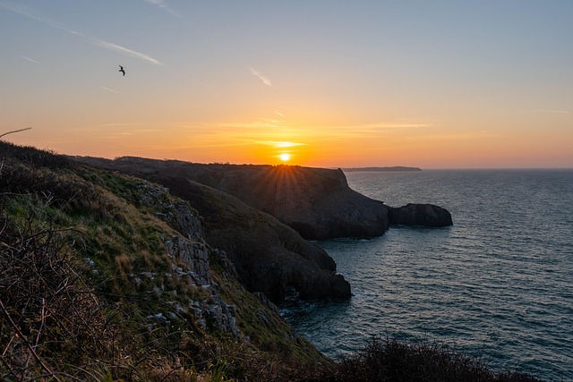 Free Sunset Sea photo and picture