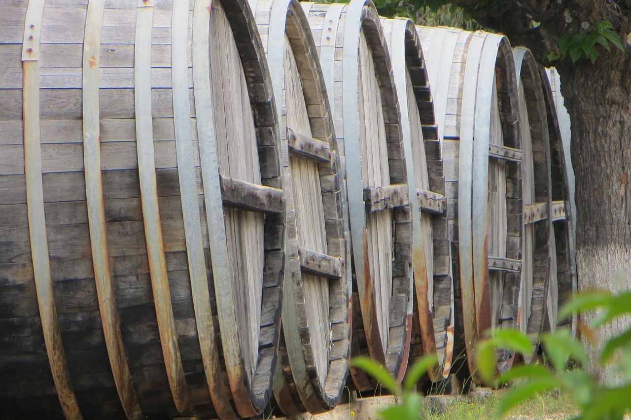 Vignoble Vin Baril - Photo gratuite sur Pixabay - Pixabay