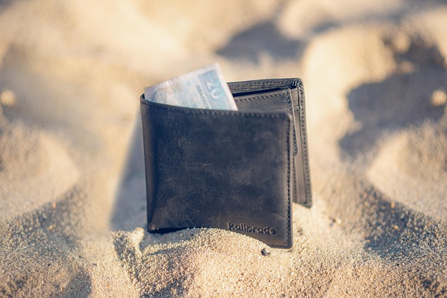Free Wallet Money photo and picture
