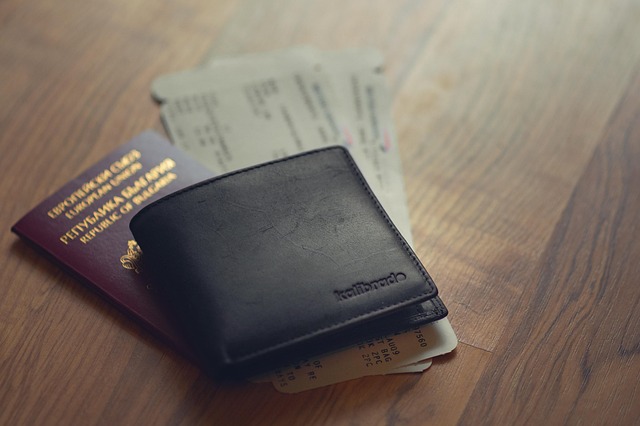 Free Travel Wallet photo and picture