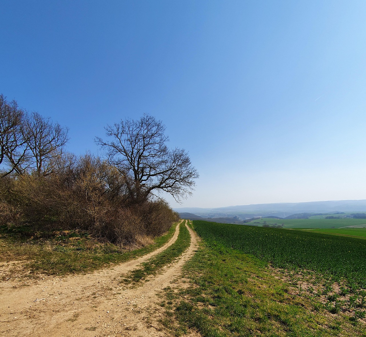 Chemin De Terre La Nature - Photo gratuite sur Pixabay - Pixabay