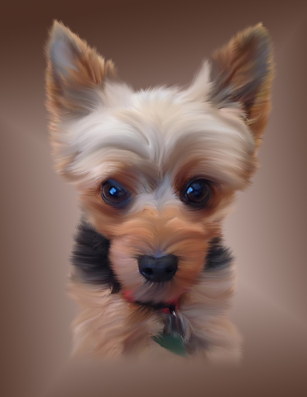 500+ Free Yorkies &amp; Animal Images - Pixabay