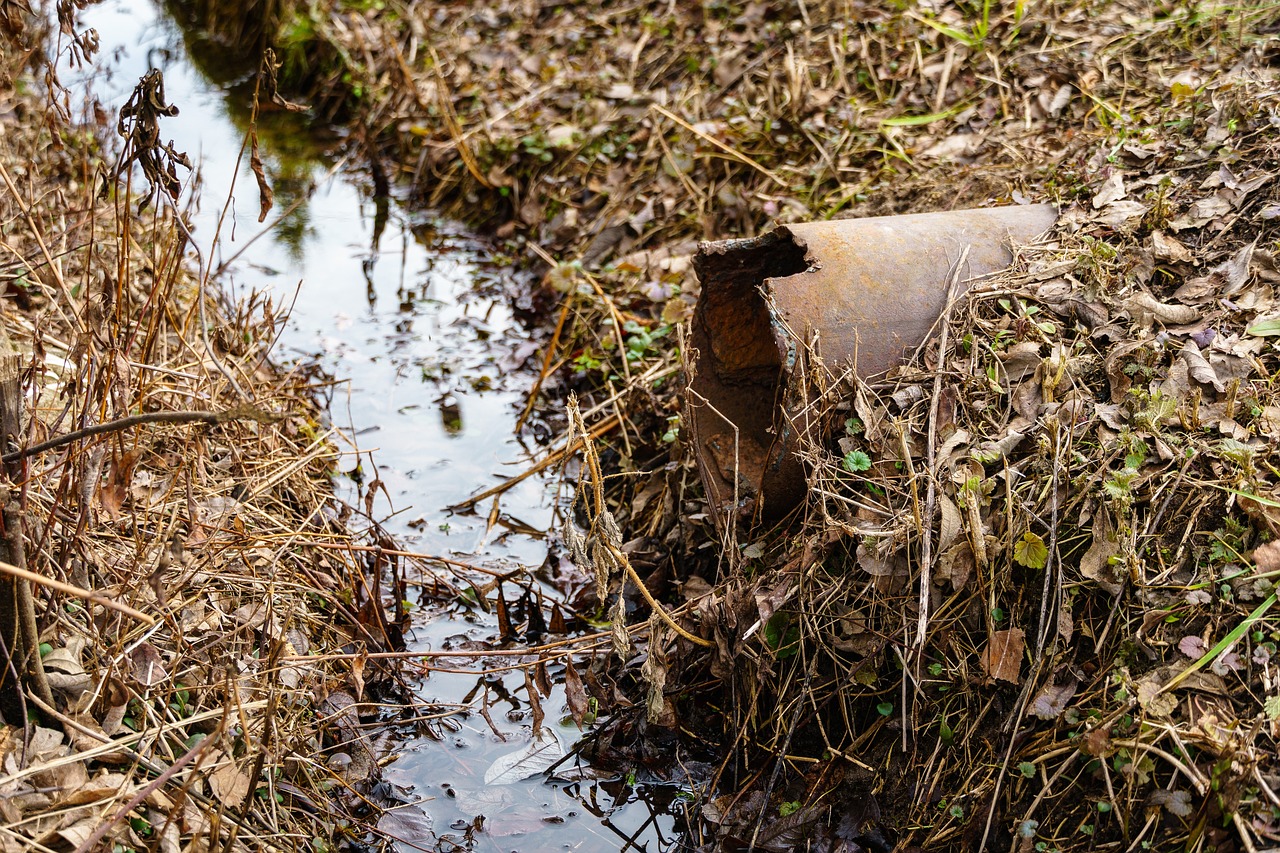 Free Gutter Spring photo and picture