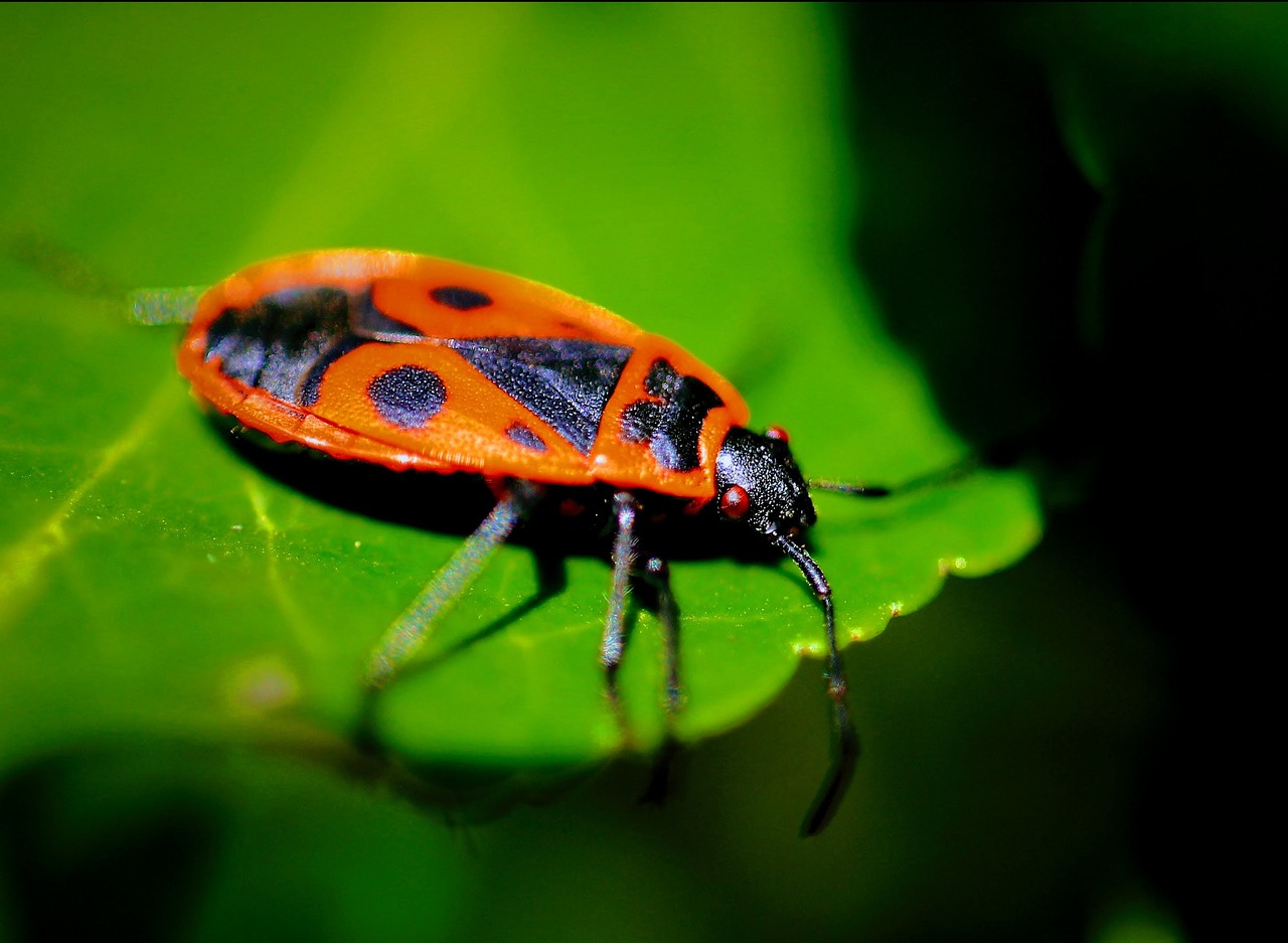 10 000 Free Sensor Photo Sensor Images Pixabay 10 000 Free Sensor Photo Sensor Images Pixabay