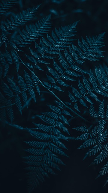 plant, nature, flower, garden, flowers, flower wallpaper, spring, bloom, zen, blue, sheets, beautiful flowers, flower background, green, design