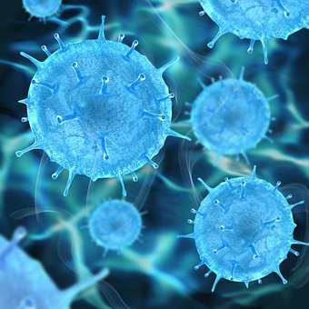 Coronavirus, สุขอนามัย, เชื้อไวรัส