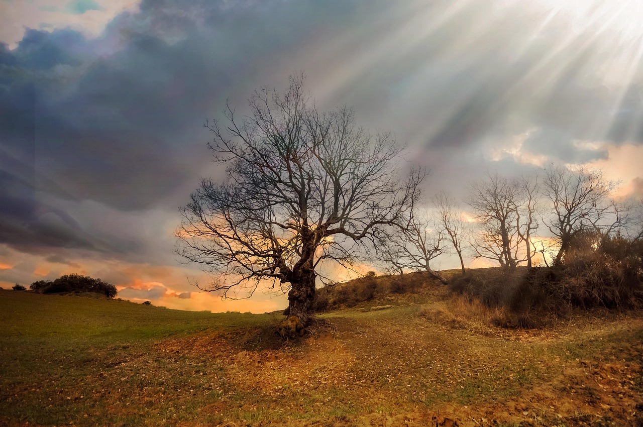 Landscape - free online jigsaw puzzle photo