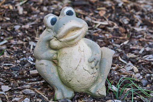 Free Frog Animal photo and picture
