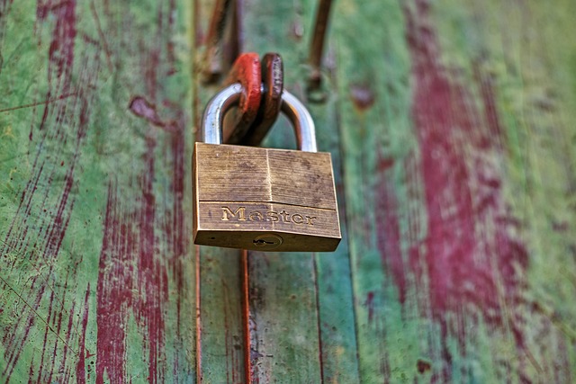 Free Locker Door photo and picture