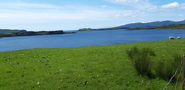 Escocia, Skye, Oveja, Hierba, Montañas