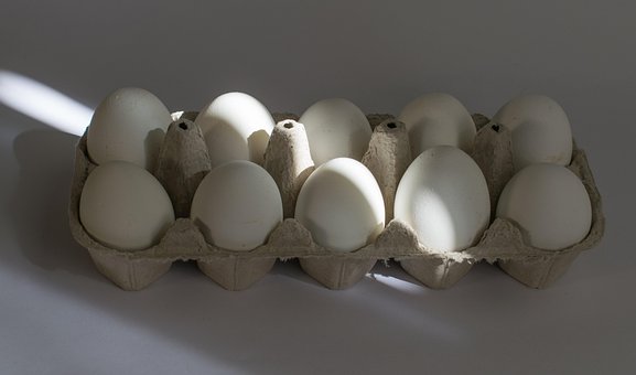 Egg, Platte, Sun, Ray, Shines