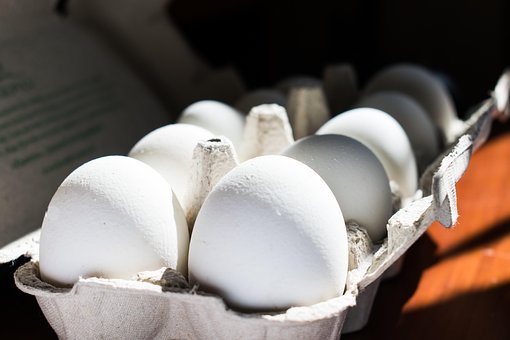 Egg, Coole Hintergründe, Natur