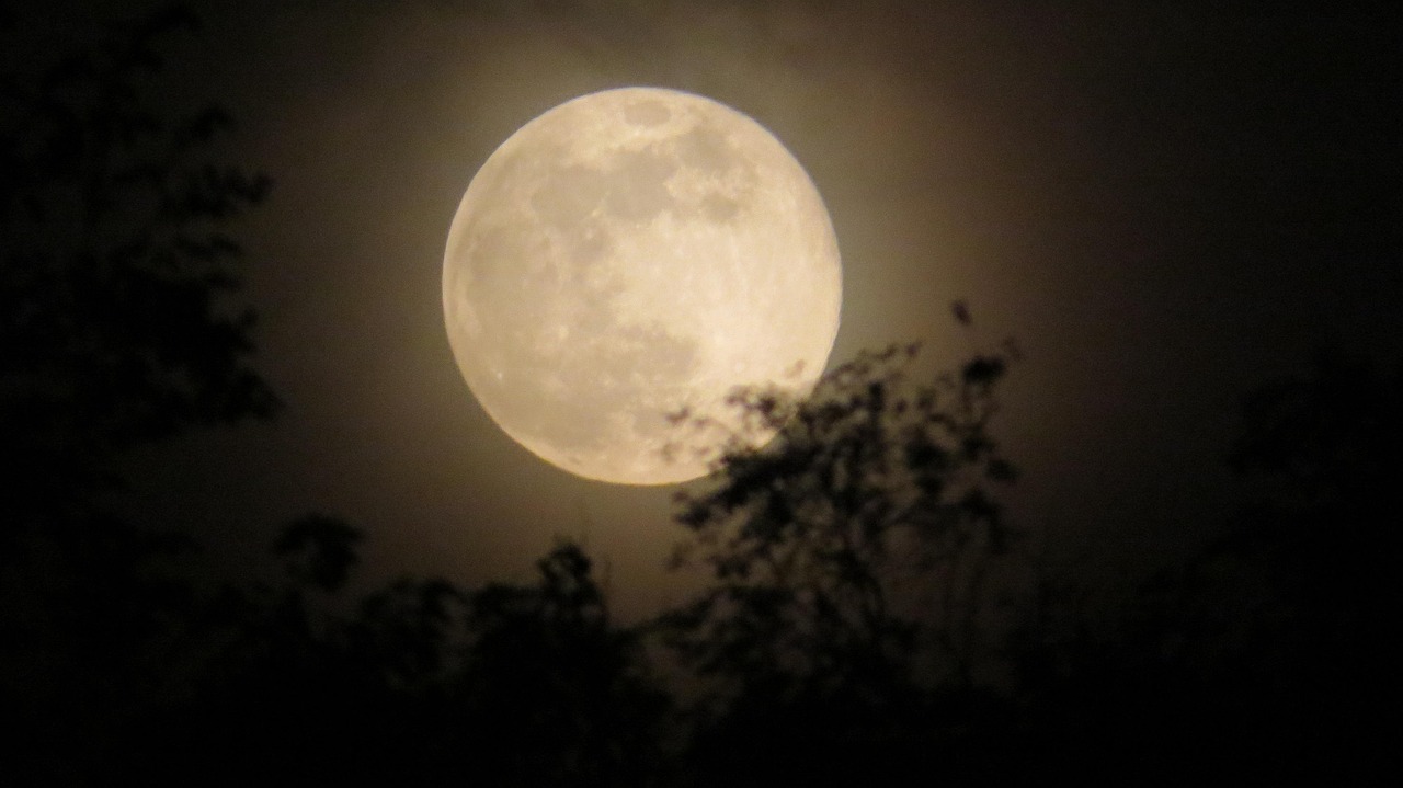 Lua Cheio Lunar - Foto gratuita no Pixabay - Pixabay