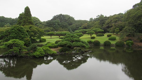 Free Trees Green photo and picture