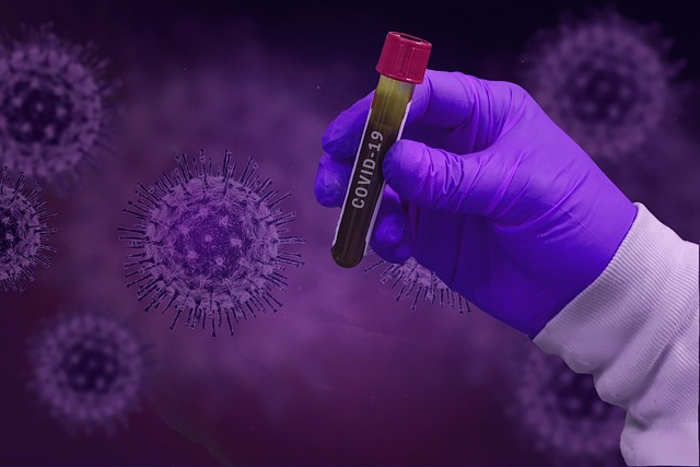 covid-19, coronavirus, epidemic, infection, exam, laboratory, medical, pathogen, corona-virus, coronavirus, coronavirus, coronavirus, laboratory, laboratory, laboratory, laboratory, laboratory