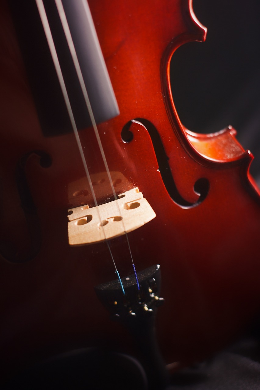 Black Music Instrument - Free photo on Pixabay