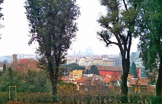 Free Italy Florence photo and picture
