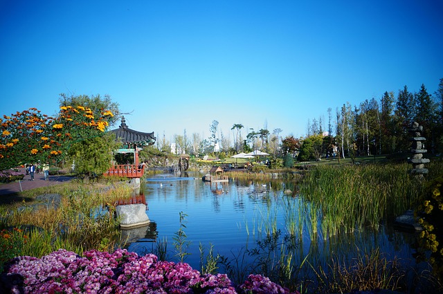 Free Travle Tour photo and picture