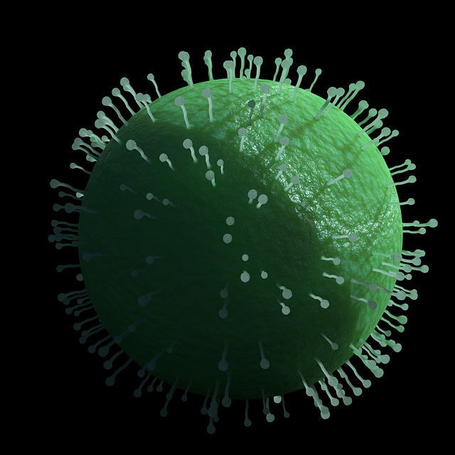 Corona, Coronavirus, Sociale Afstand