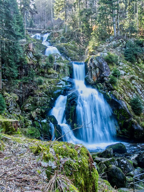 Free Waterfall Triberg photo and picture