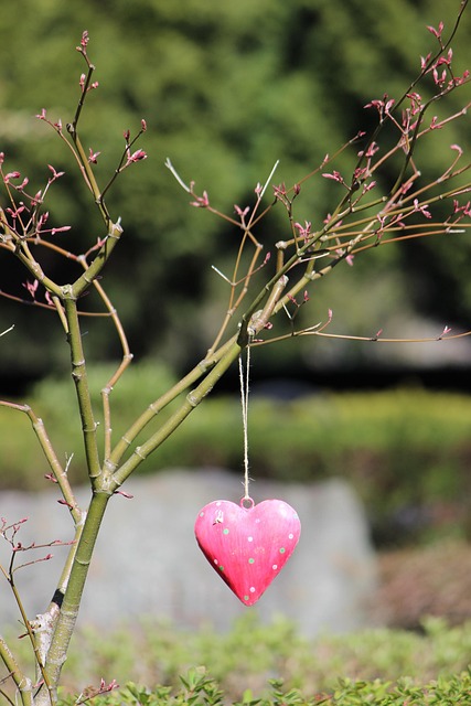 Free Heart Tree photo and picture