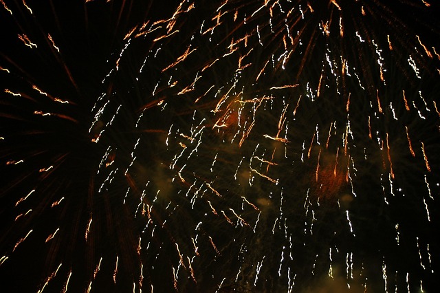 Free Firework Fireworks photo and picture