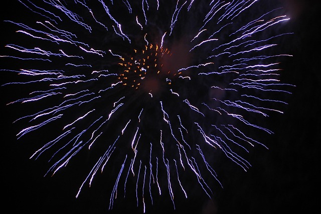 Free Firework Fire photo and picture
