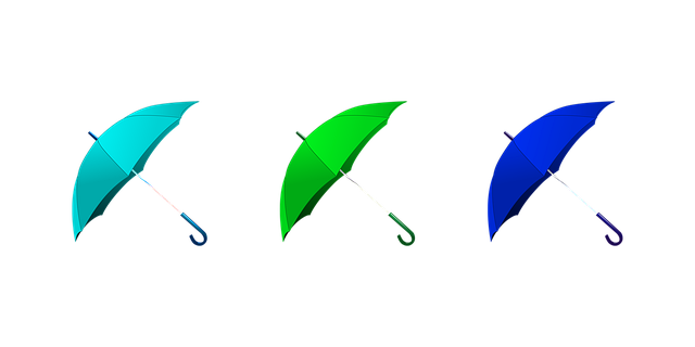 Free umbrella rain heat illustration