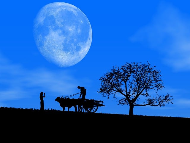 Free night sky blue illustration