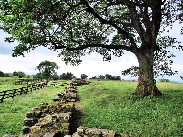C2C, La Muralla De Adriano, Inglaterra