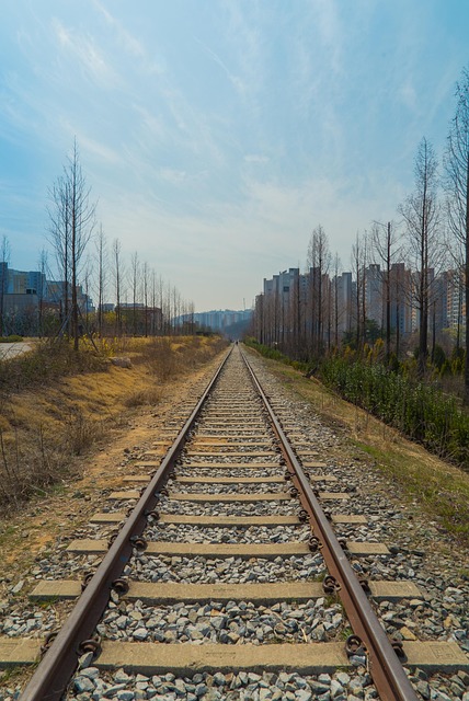 Park, Walking, Reisen, Rest, Eisenbahn
