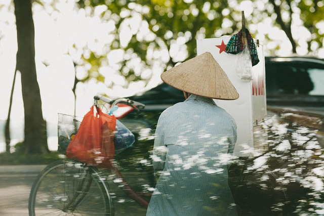 Frau, Hut, Fahrrad, Taschen, Straße
