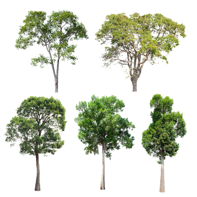 Free trees garden green illustration