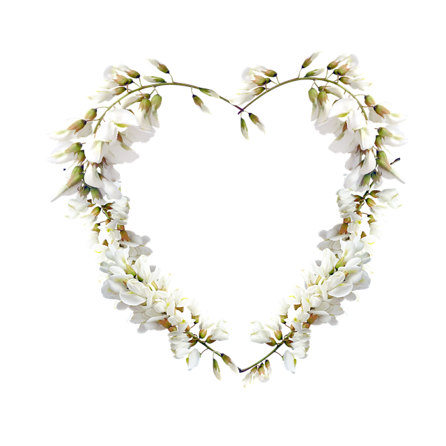 Free flowers bloom acacia illustration