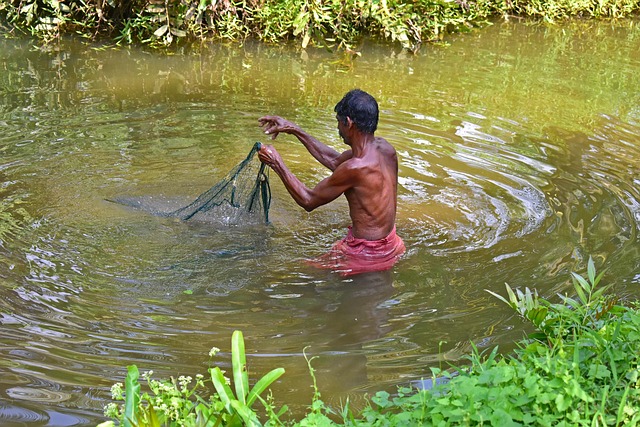 Kerala, Angeln, Cochin, Netz, See