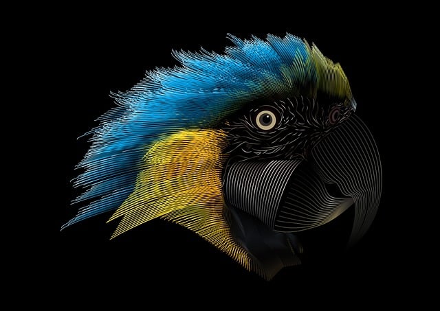 Free parrot head blend illustration