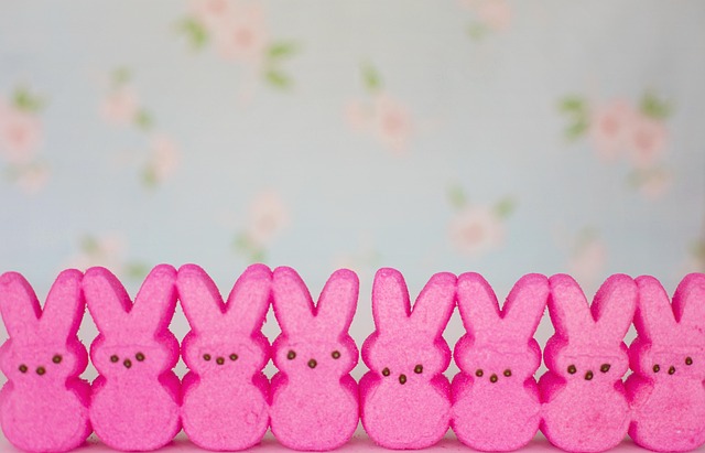 Free Peeps Pink photo and picture