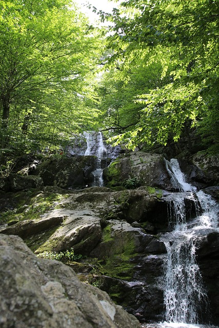 Free Waterfall Nature photo and picture