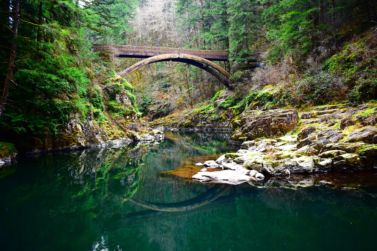 Bridge - free online jigsaw puzzle photo