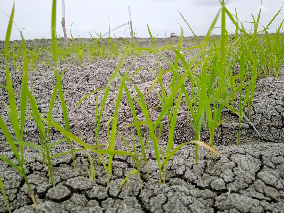Soil visual data 4
